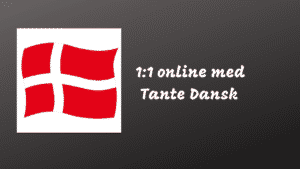 1:1 online dansk grammatik